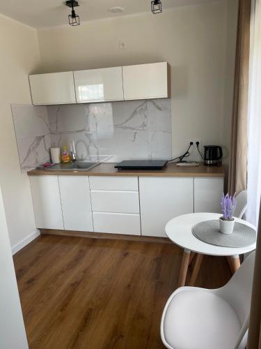 Apartamenty Pod Lwami