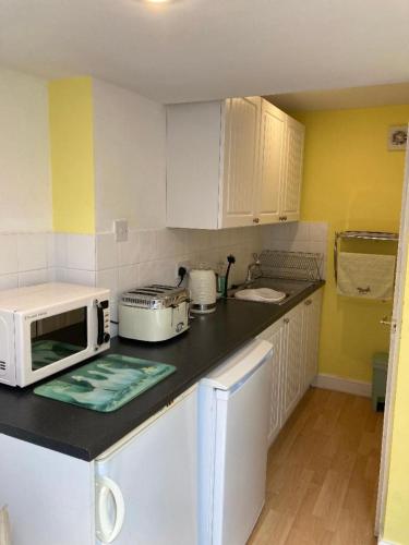 Studio Annexe with separate shower room in Broadhempston