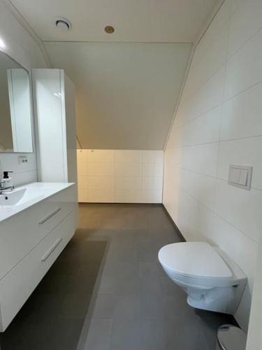 House with 5 bedrooms, 2 bathrooms, available for ONSS, Stavanger (fotografie 10)