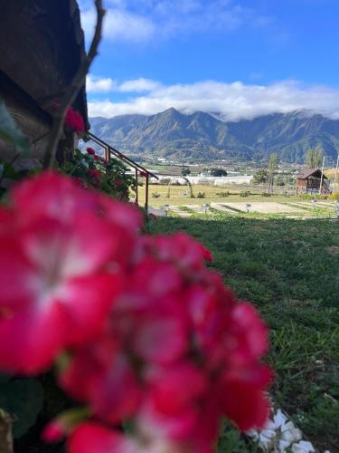 Cacha's Wood Cabins Cacha's Wood Cabins