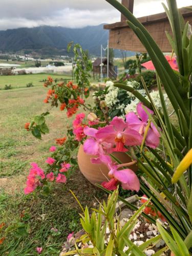 Cacha's Wood Cabins Cacha's Wood Cabins