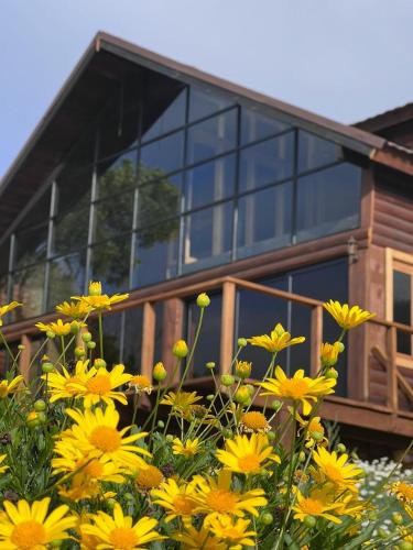 Cacha's Wood Cabins Cacha's Wood Cabins