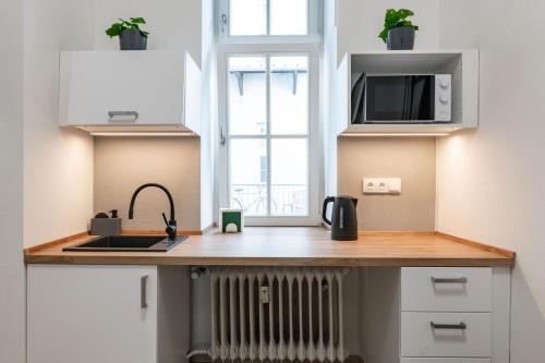 One-Bedroom Apartment image 8