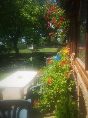 CycloCamp & Hostel in Skorenovac