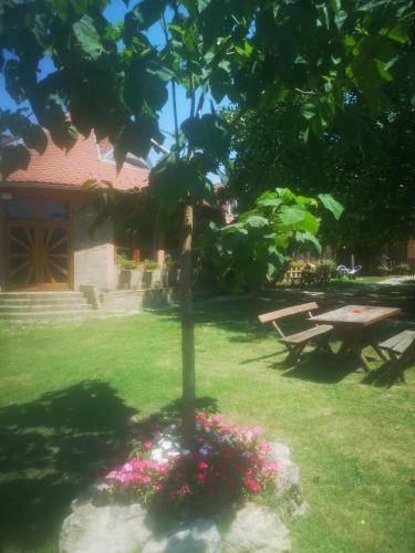Restorāns, CycloCamp & Hostel in Skorenovac