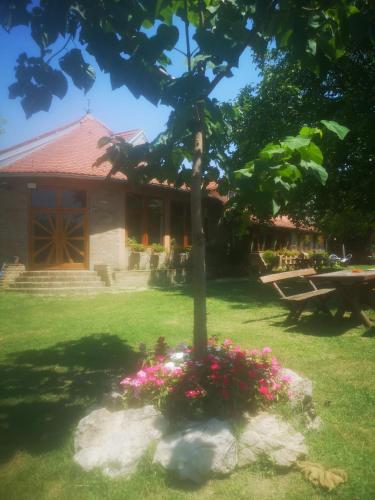 CycloCamp & Hostel in Skorenovac