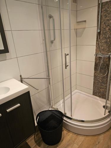 Witte Magnolia in Haamstede