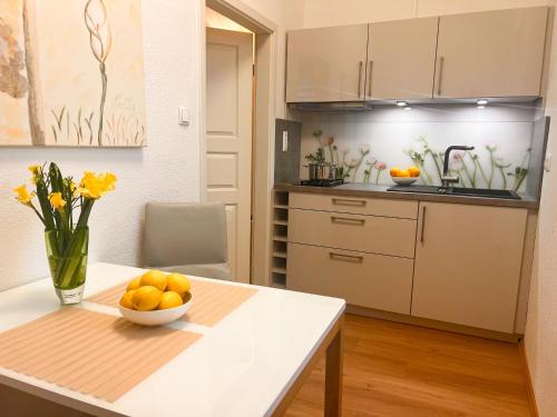 مطبخ, Hotel Service Apartments am Prinzenplatz - Superior in كامب-لينتفورت