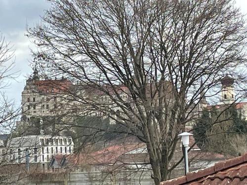Stadtmitte mit Schlossblick, Sigmaringen (photo 9)