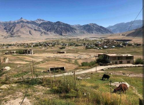 Khangok homestay in Padum