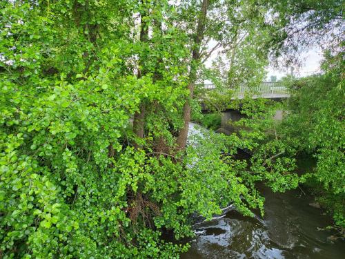 周邊環境, Pension Kostera 1 OG in 巴本豪森