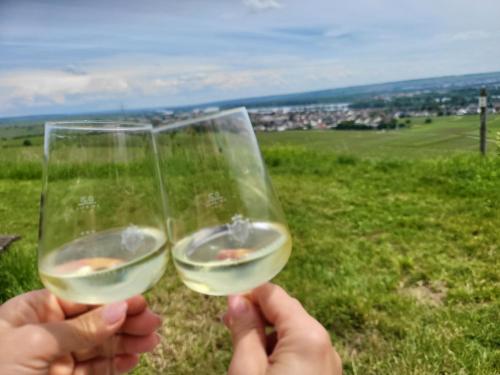 周邊環境, Pension Kostera 1 OG in 巴本豪森