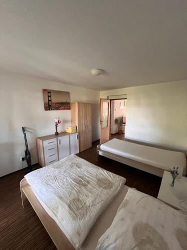 Apartman Sadova 430 in Chodova Plana