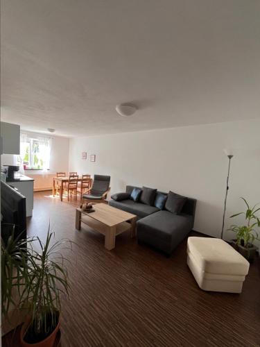 Apartman Sadova 430 in Chodova Plana