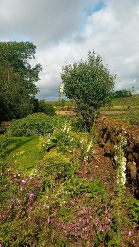 Detached cottage with picturesque views in Greitesbija