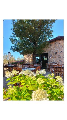 Il Sogno di Teresa chambre d'hôte Licusati