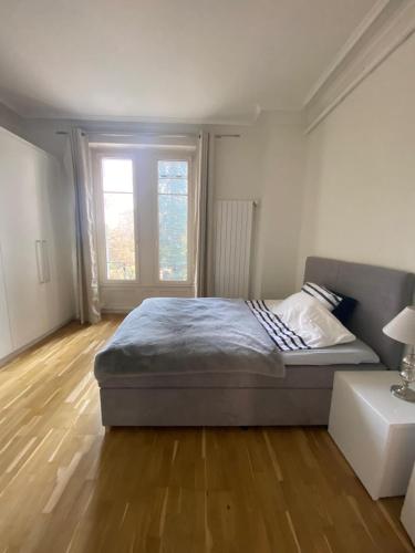 Résidence MontBlanc duplex avec jacuzzi, Ginevra (foto 8)
