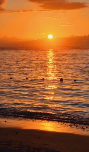 Flic en Flac Dream Apartment Awaits-Iris