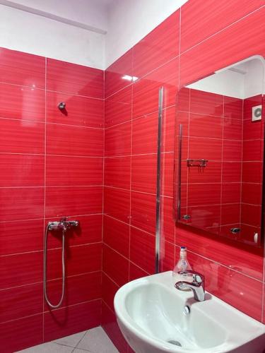 Elegant Rose City Center Oasis, Tirana (foto 6)
