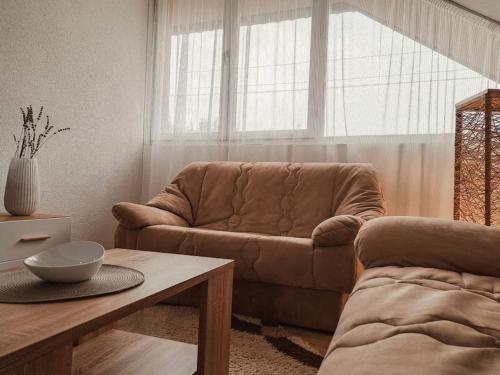 Apartman Haci in Smailagića Polje