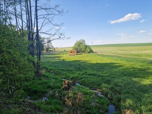 Bobry Zagajnik - Polanica-Zdroj