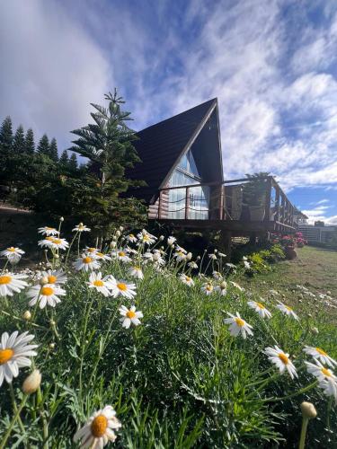 Cacha's Wood Cabins Cacha's Wood Cabins