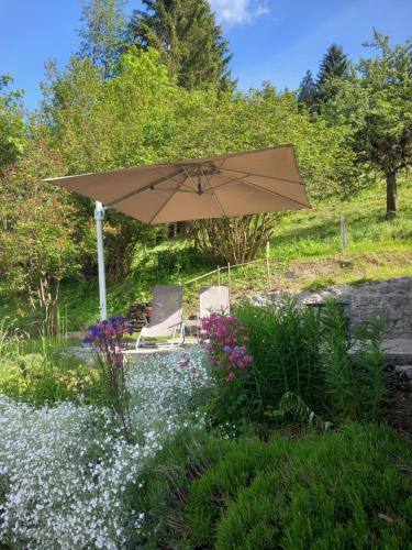 Surrounding environment, Les Fleurettes in Les Diablerets