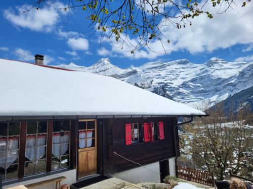 Surrounding environment, Les Fleurettes in Les Diablerets