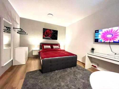 Studio am Waldschlösschen mit Küche und Netflix, Drážďany (fotografie 6)