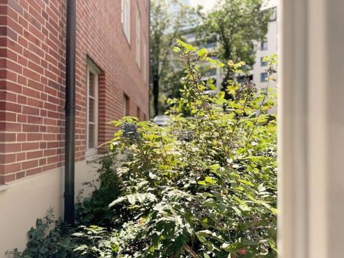 Natural apartment in the City Center - Old Town, Breslau (Foto 9)