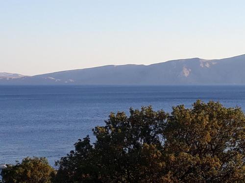 Vaade, Large Cozy At Beach in Smokvica Krmpotska