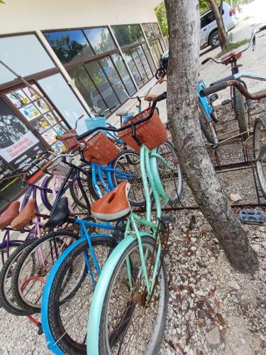 2 BIKES FREE EXLUSIVE BUILDING CLOSE TO THE SEa in Tulum, Mexico