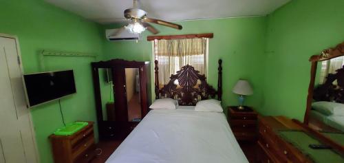 Little Shaw Park Guest House in Ocho Rios