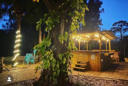 River resort, Swim spa, Adventure, Poker, Pole table in Tampa, USA