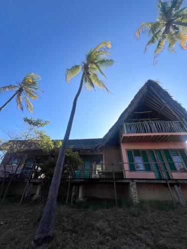 Chuiba Palms in Pemba