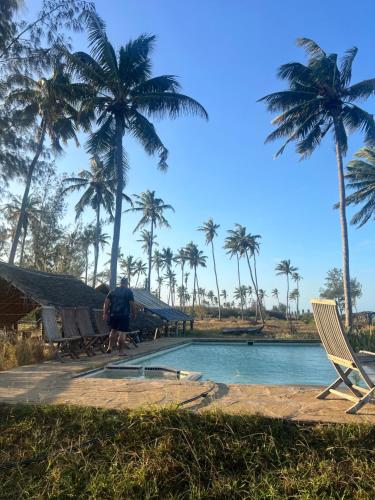 Chuiba Palms in Pemba