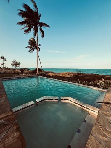 Chuiba Palms in Pemba