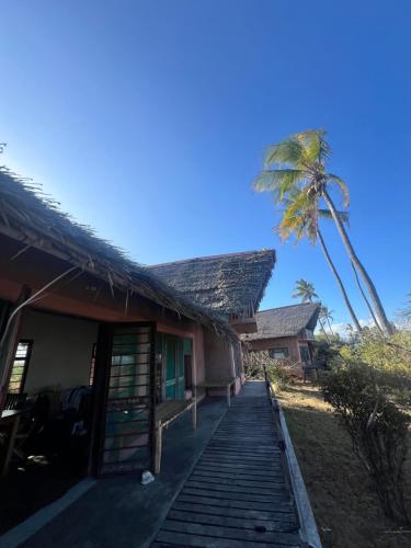 Chuiba Palms in Pemba