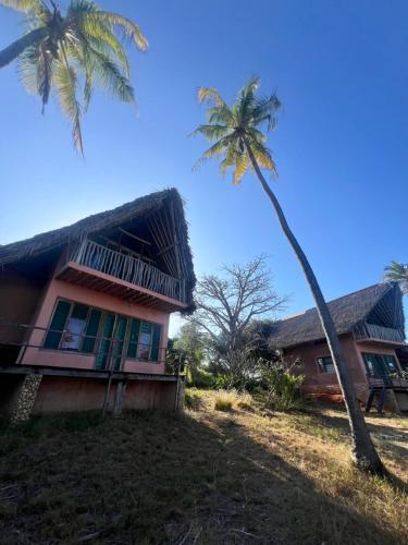 Chuiba Palms in Pemba