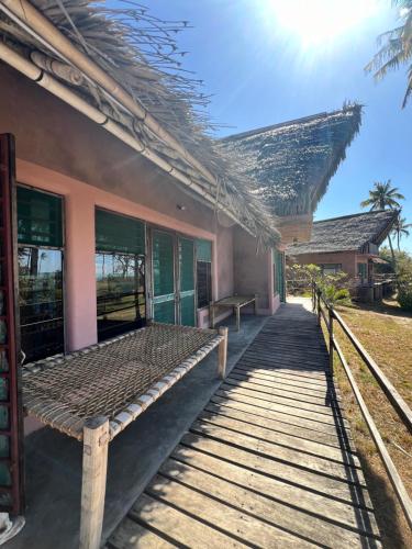 Chuiba Palms in Pemba