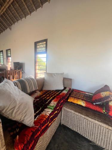 Chuiba Palms in Pemba