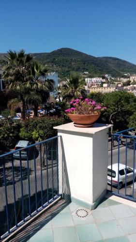 Appartamento Casa Di Sole Ischia - Ischia