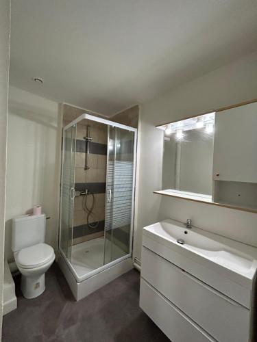 grand appartement lumineux extra centre, Bordeaux (Foto 2)