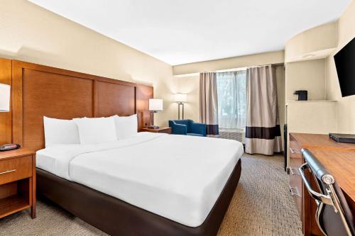 Comfort Inn Modesto - image 14