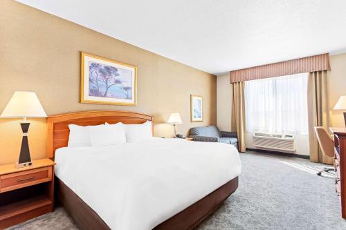 Comfort Inn & Suites I-25 near Spaceport America - image 10