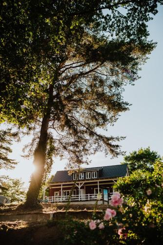 A szálláshely kívülről, Tiny Houses & Schwedenhäuser Ahoi Camp Canow (Tiny Houses & Schwedenhauser Ahoi Camp Canow) in Wustrow