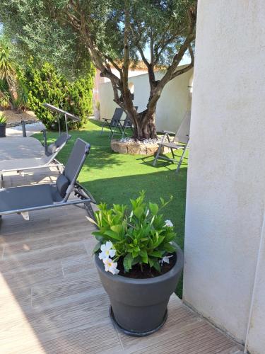 IDEAL POUR VOS VACANCES in Espondeilhan