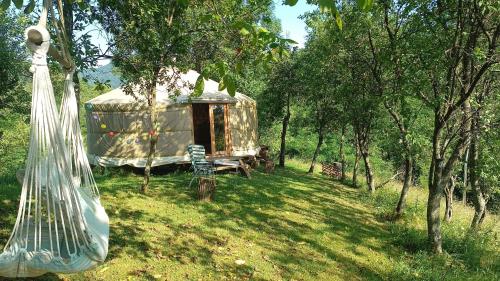 . Romantic yurt in Apuseni mountains