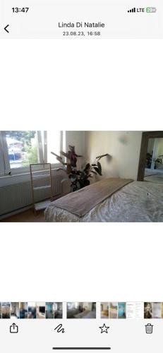 Kleine gemütliche Wohnung, direkt neben Messe und Lanxess Arena