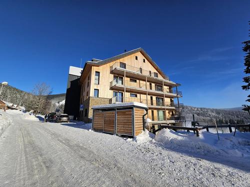 Friendly apartman Janské Lázně 5 by AlkaTravel, Ski&Bike (Friendly apartman Janske Lazne 5 by AlkaTravel, Ski&Bike) in แจนสเก ลาซเน